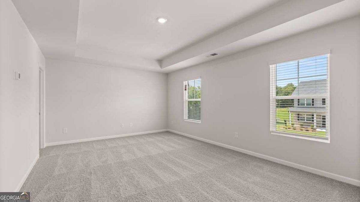 100 White Spruce Way Newnan - Photo 17