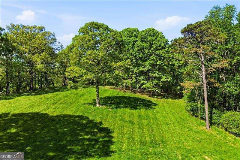 2969 Upper Bethany Road Ball Ground - Photo 39