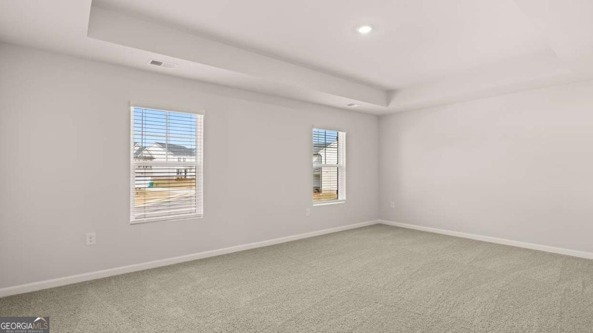 101 White Spruce Way Newnan - Photo 16