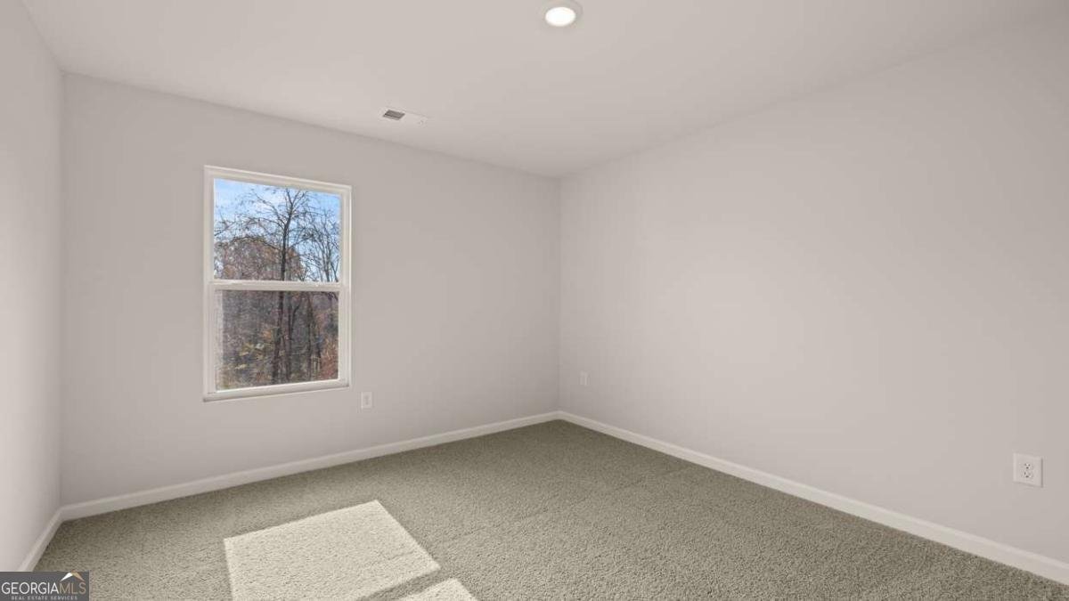 101 White Spruce Way Newnan - Photo 24