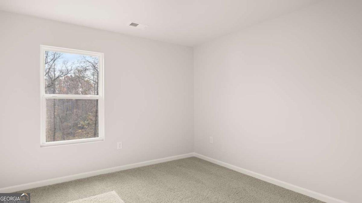 101 White Spruce Way Newnan - Photo 26