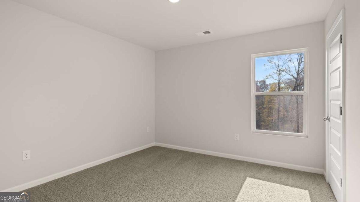 101 White Spruce Way Newnan - Photo 28