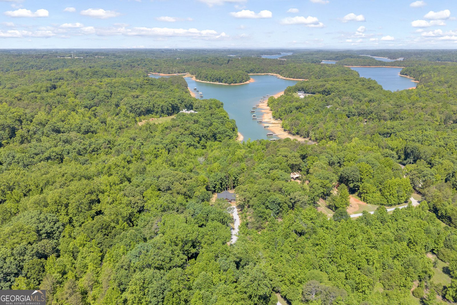390 Champayne Trail Hartwell - Photo 42