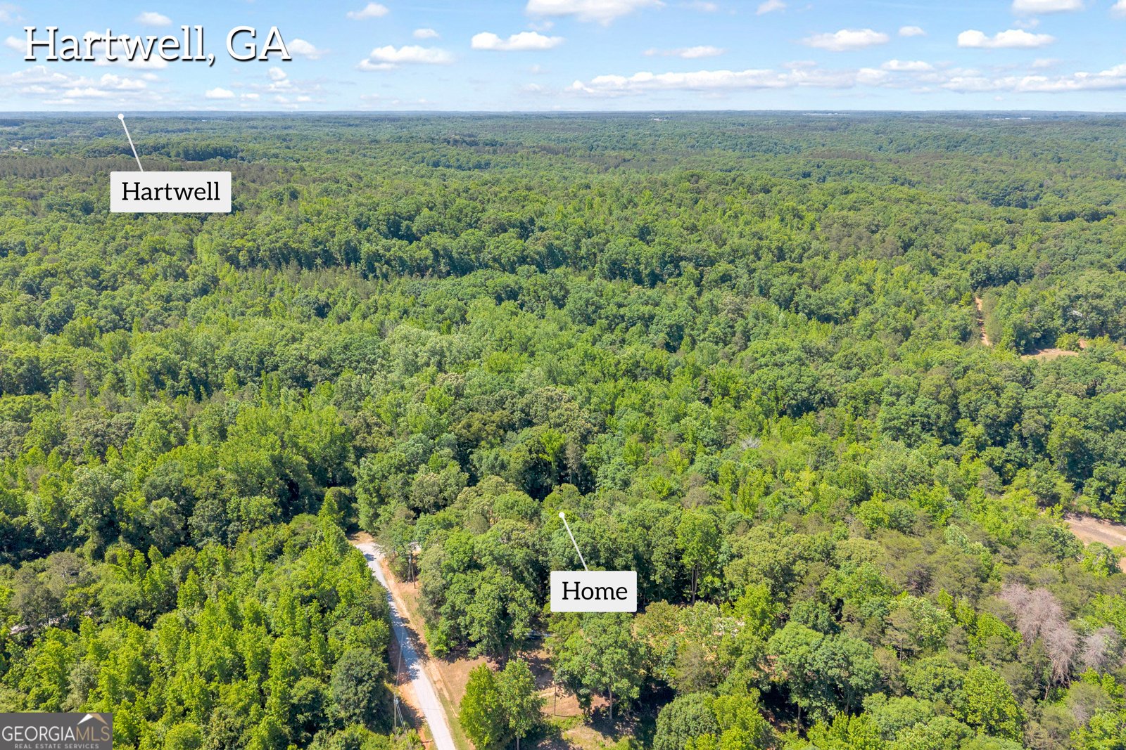 390 Champayne Trail Hartwell - Photo 43