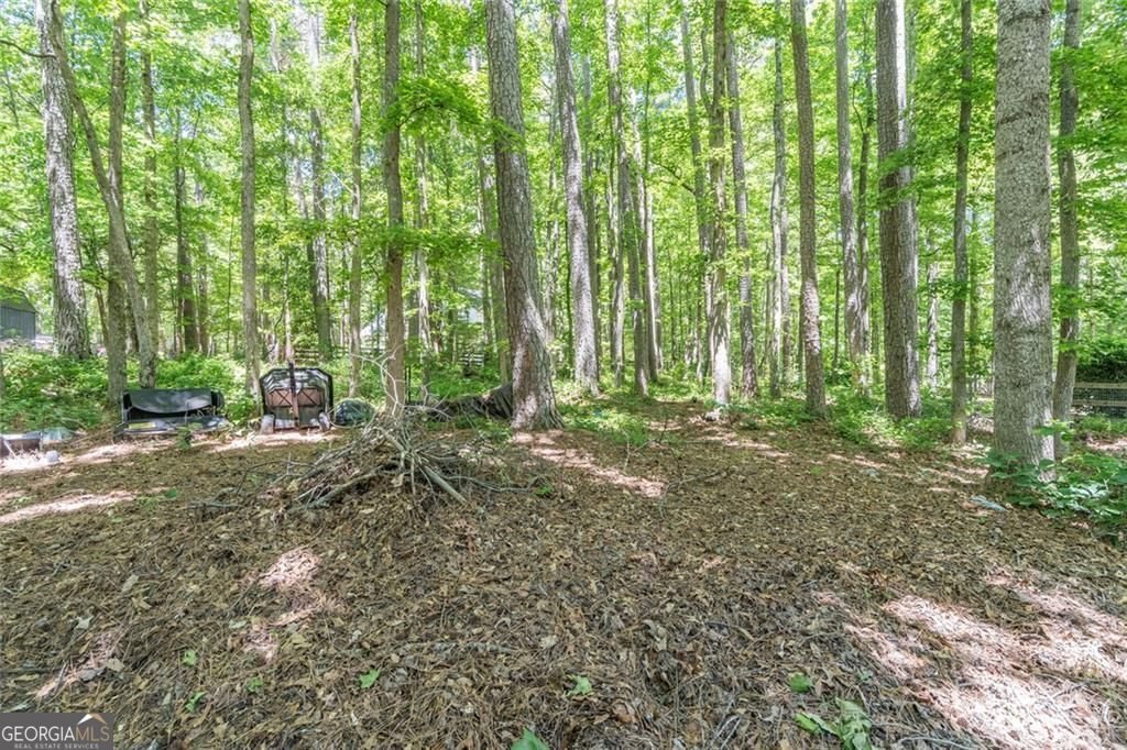 3430 Lakeside Lane Cumming - Photo 40