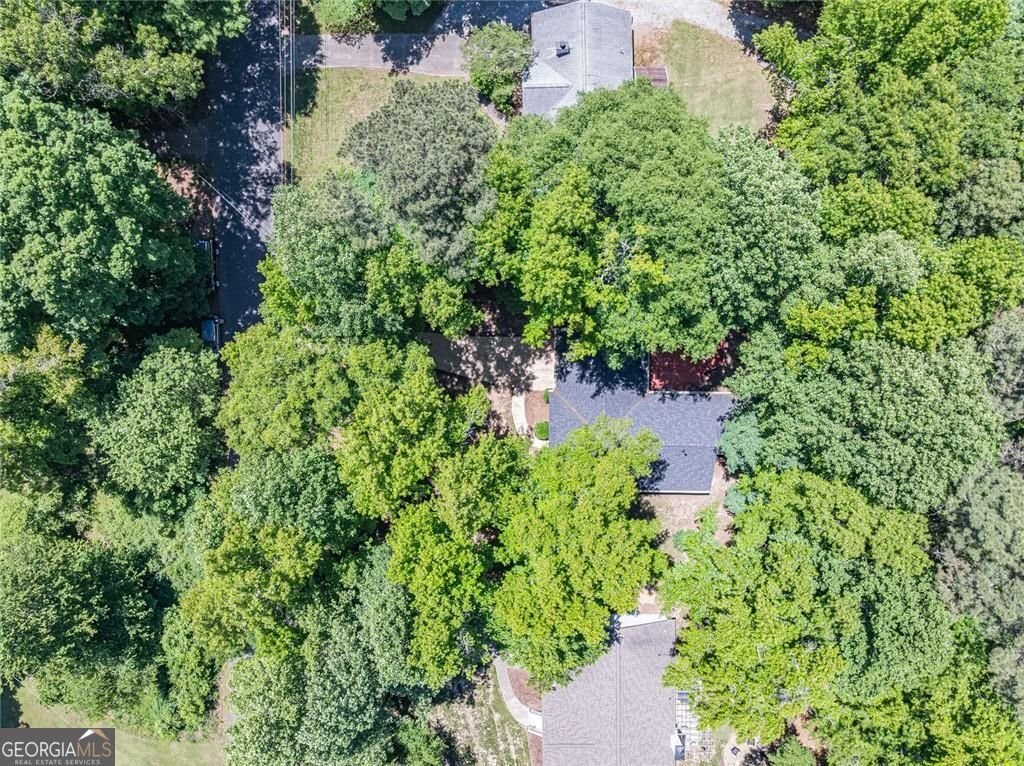 3430 Lakeside Lane Cumming - Photo 46