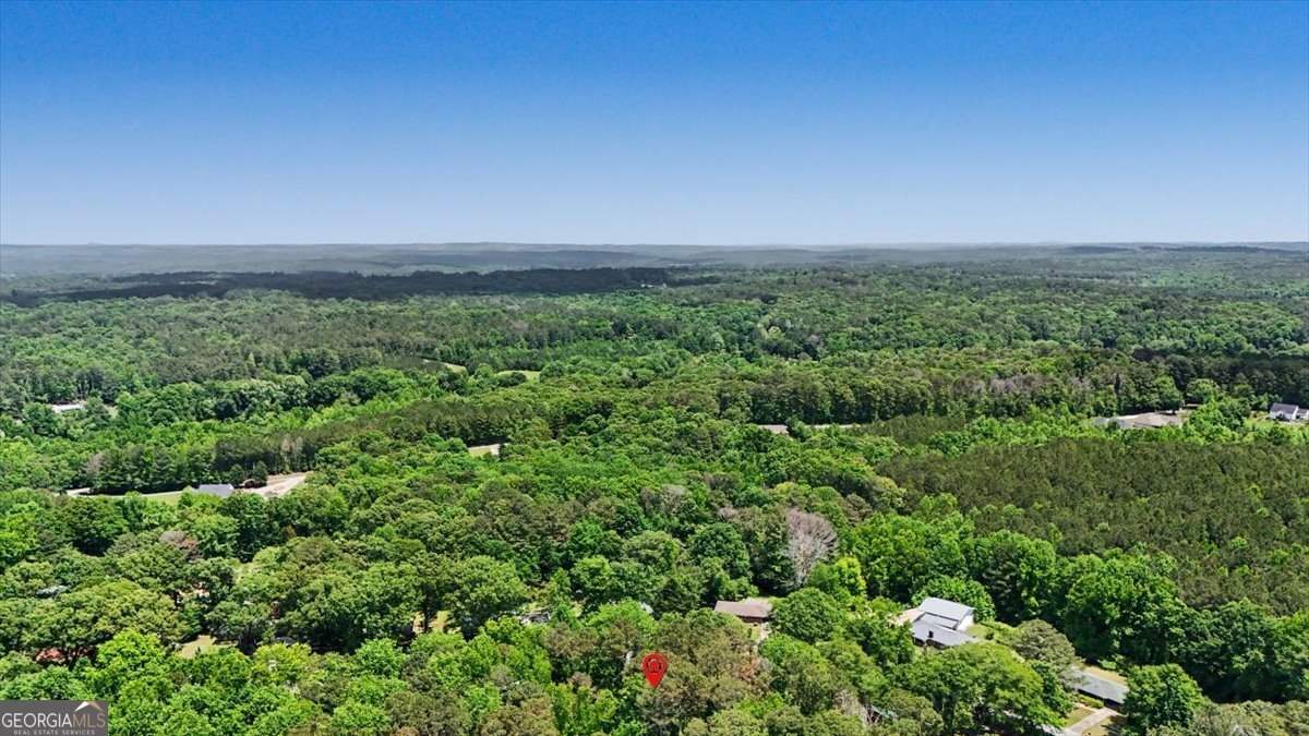 98 James Street Tallapoosa - Photo 38