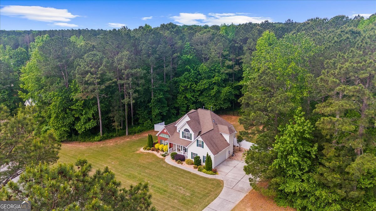 294 Whisper Creek Drive Senoia - Photo 59