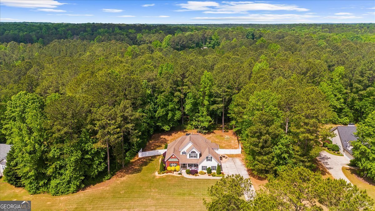 294 Whisper Creek Drive Senoia - Photo 60