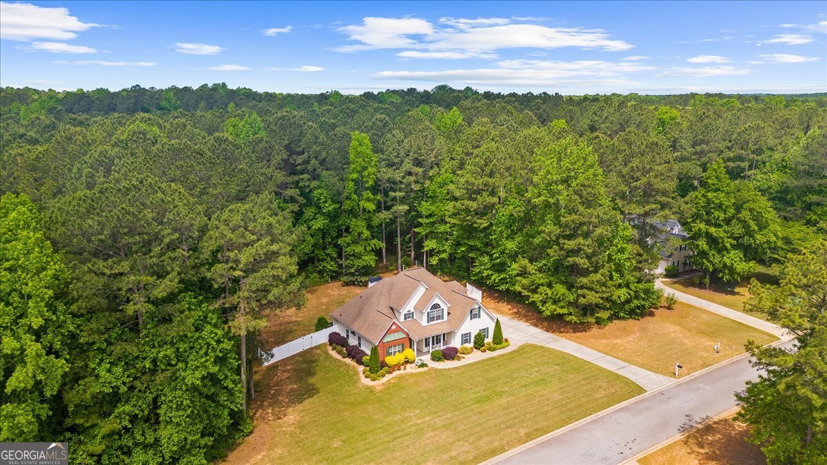 294 Whisper Creek Drive Senoia - Photo 61