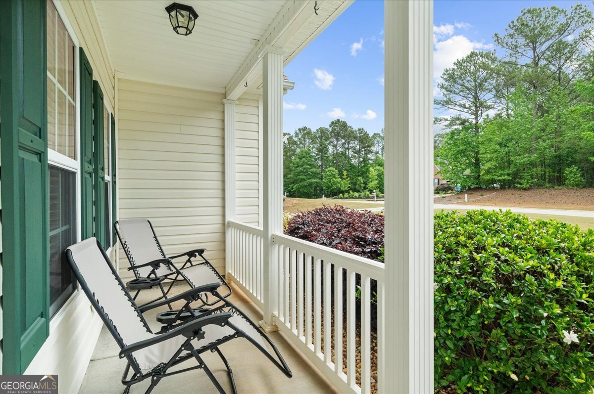 294 Whisper Creek Drive Senoia - Photo 9