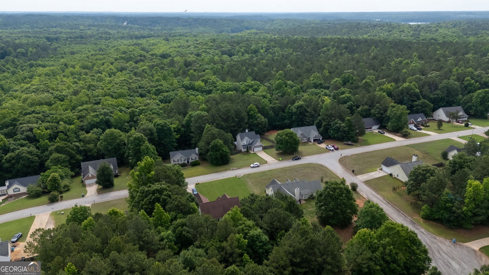 562 Brewer Drive Locust Grove - Photo 39