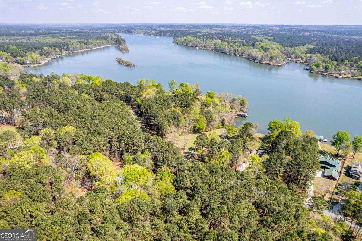 462 Rockville Springs Drive Eatonton - Photo 51