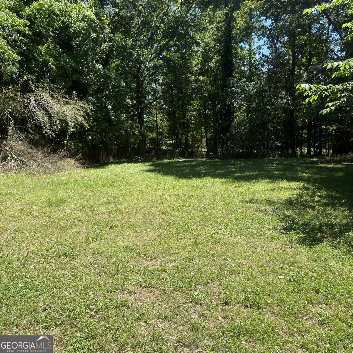 1404 Pickets Court Conyers - Photo 28