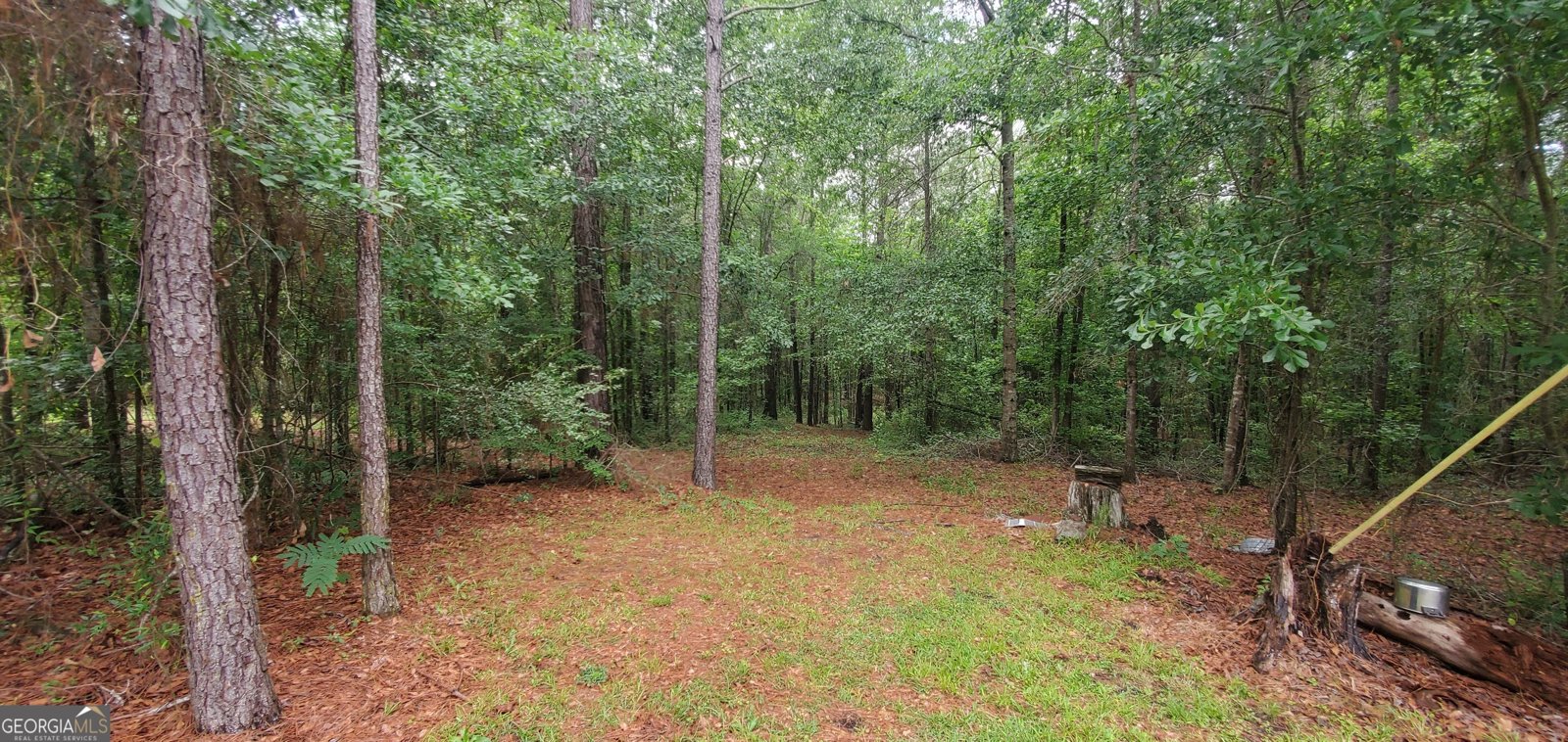 132 Ocmulgee Boulevard Jacksonville - Photo 14