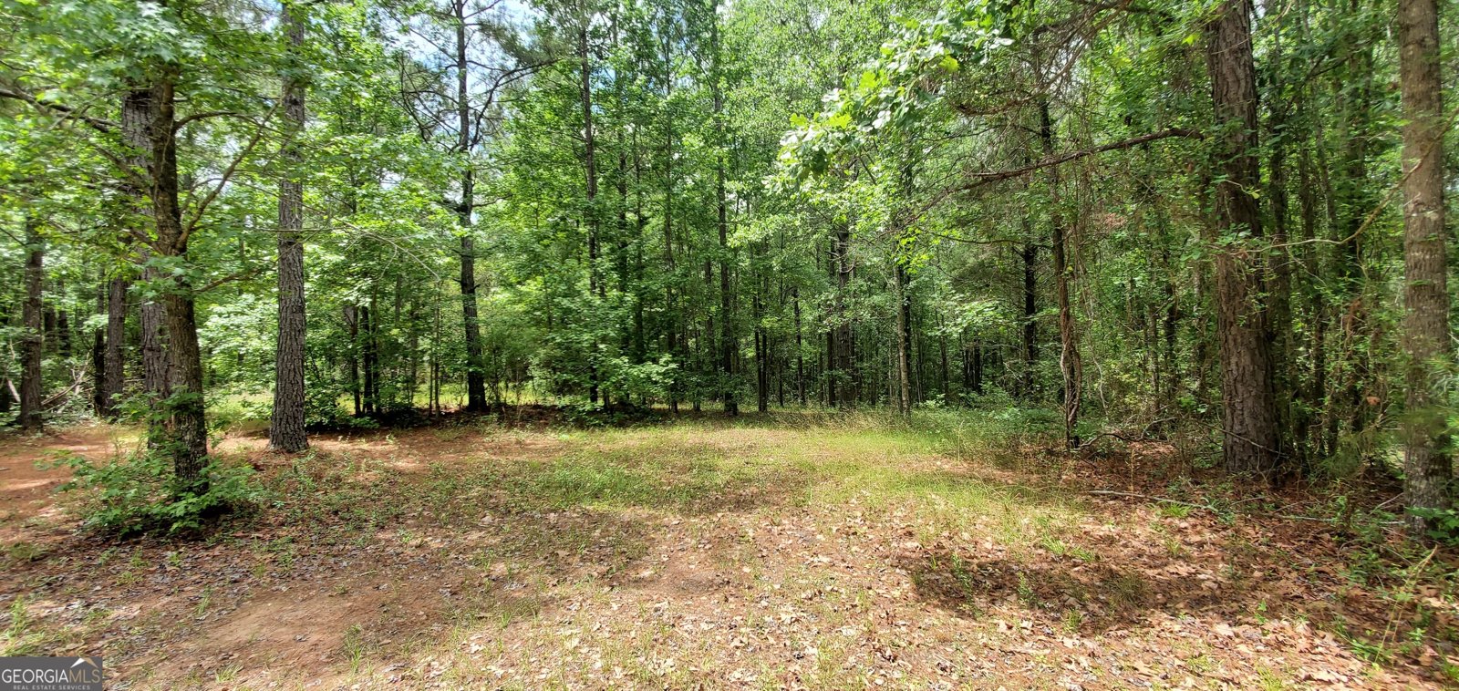 132 Ocmulgee Boulevard Jacksonville - Photo 48
