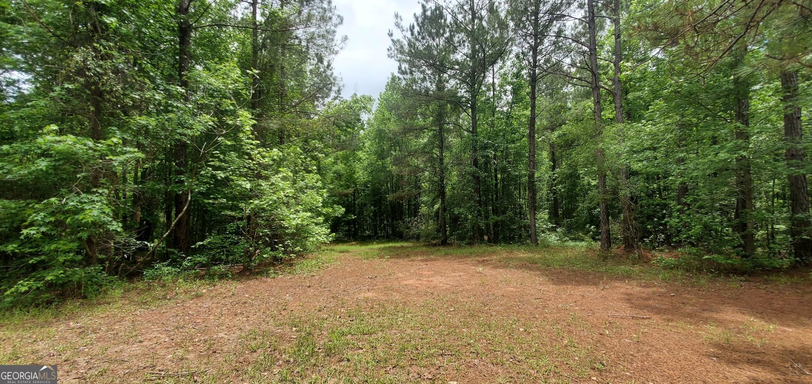 132 Ocmulgee Boulevard Jacksonville - Photo 49
