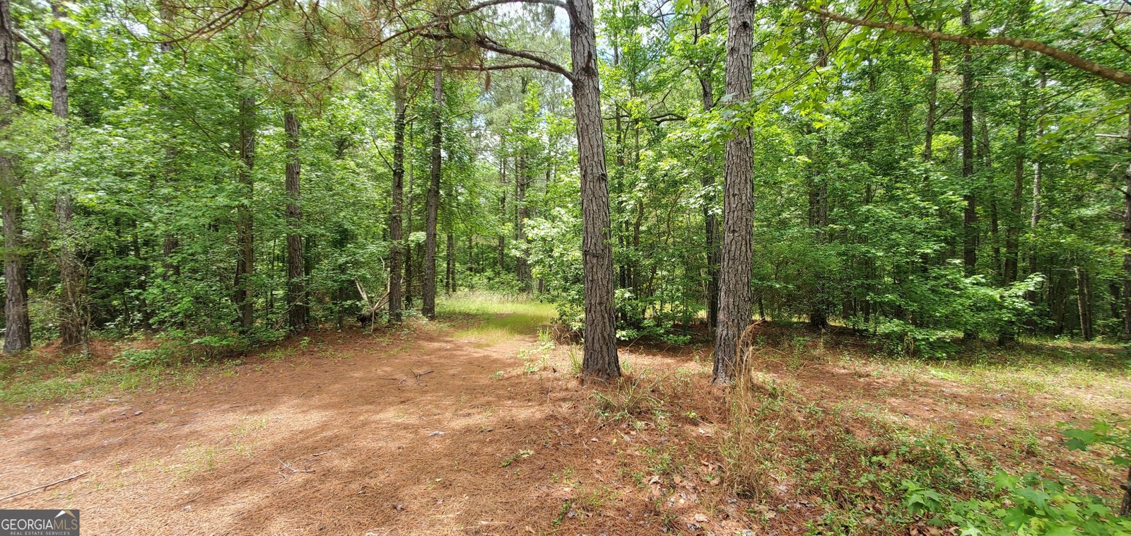 132 Ocmulgee Boulevard Jacksonville - Photo 50