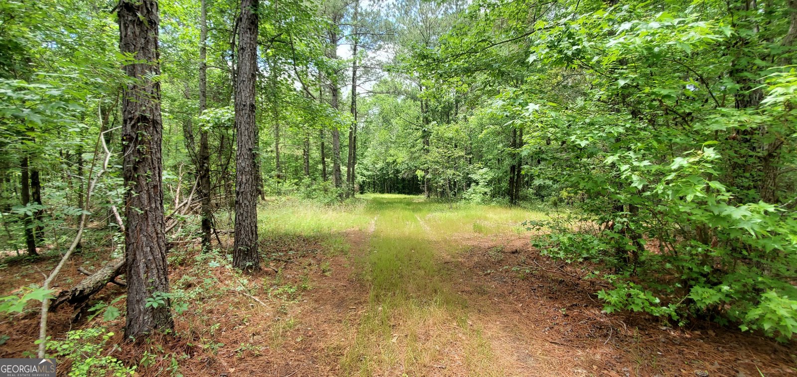 132 Ocmulgee Boulevard Jacksonville - Photo 51