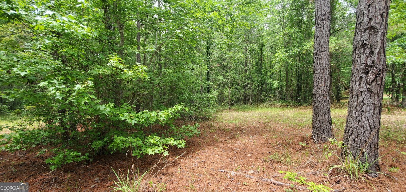 132 Ocmulgee Boulevard Jacksonville - Photo 52