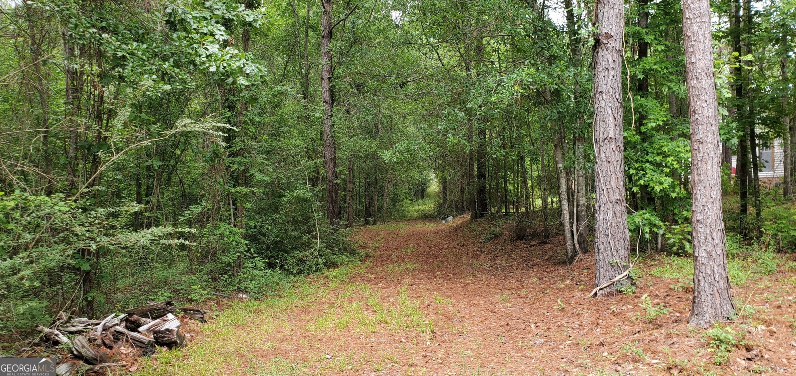 132 Ocmulgee Boulevard Jacksonville - Photo 55