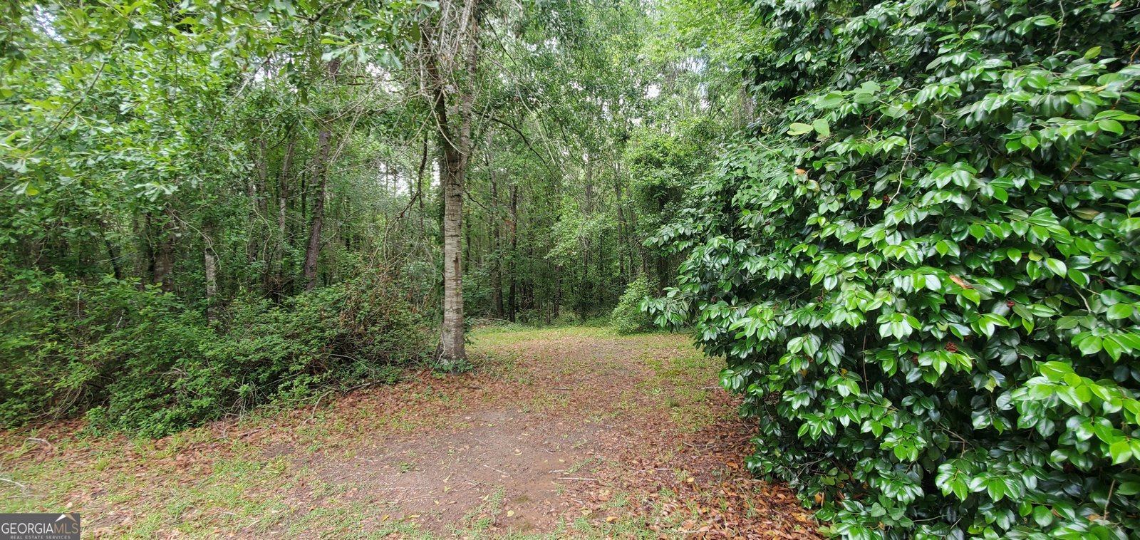 132 Ocmulgee Boulevard Jacksonville - Photo 9