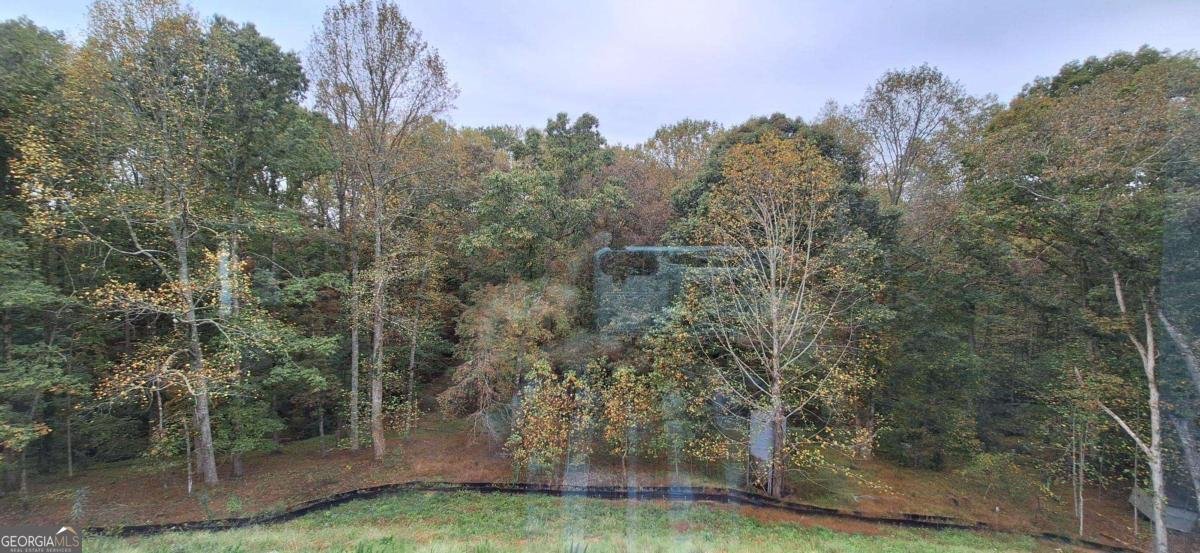 9 Trace Bluff Dawsonville - Photo 49