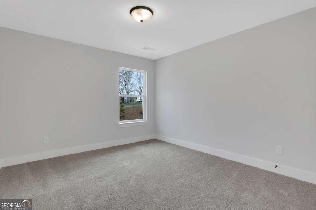 10 Trace Bluff Dawsonville - Photo 29