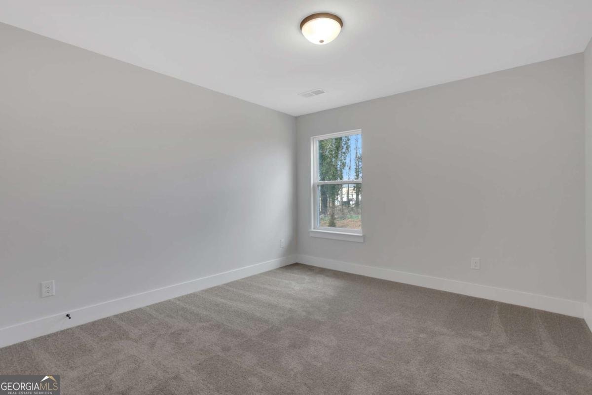 4 Trace Bluff Dawsonville - Photo 31