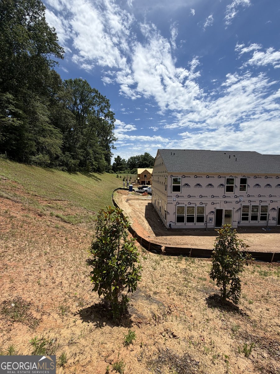 5 Trace Bluff Dawsonville - Photo 52