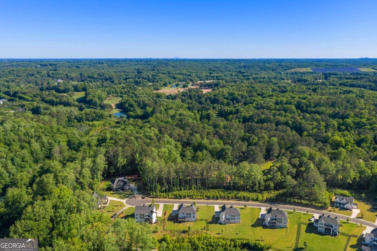 259 Milton Overlook Pass Woodstock - Photo 63