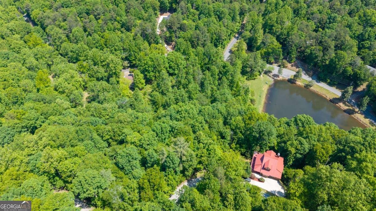 561 Summit Lane Ellijay - Photo 41