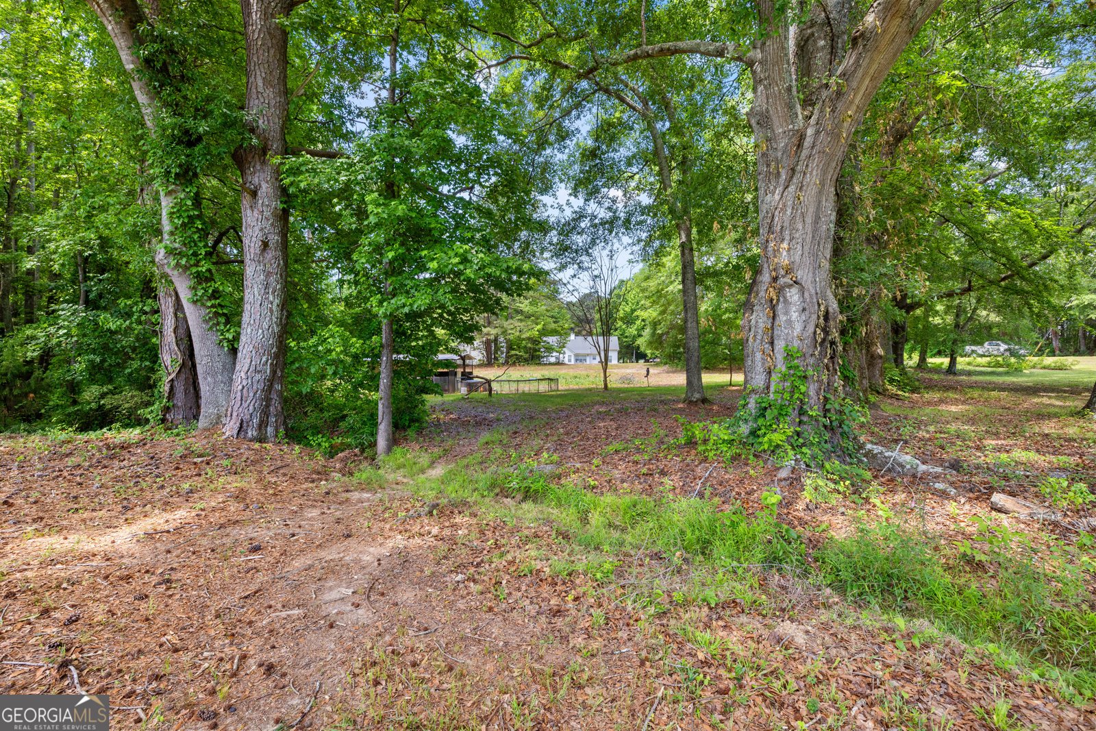 466 Bob Smith Road Sharpsburg - Photo 59