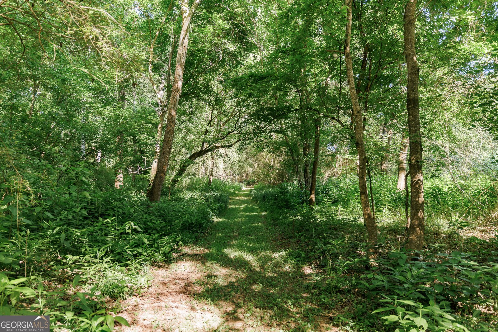 390 Duncan Springs Road Athens - Photo 68