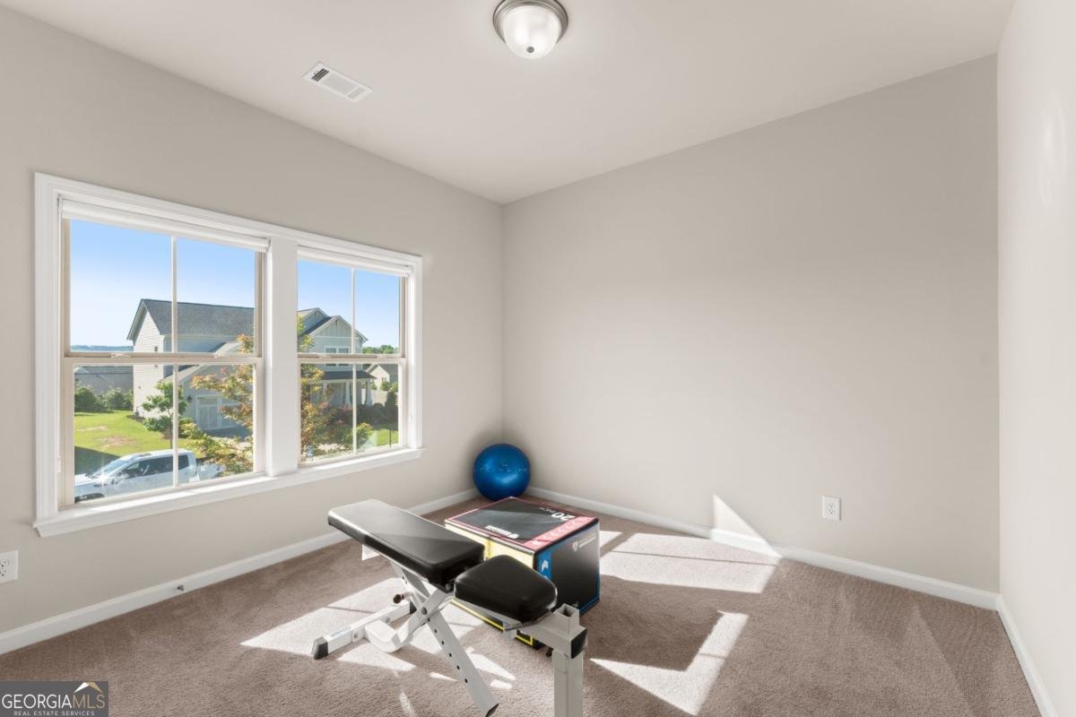 5845 Stargazer Way Cumming - Photo 32