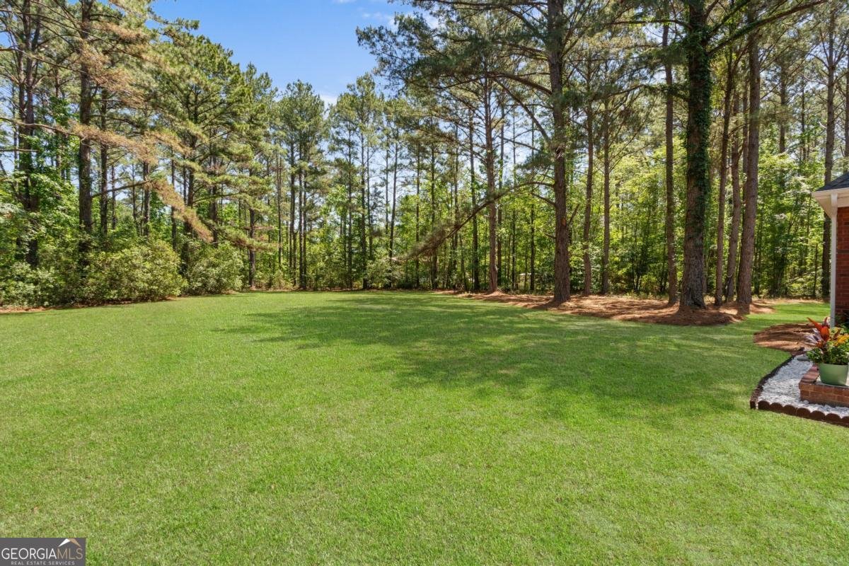 1710 Berkshire Lane Statesboro - Photo 36