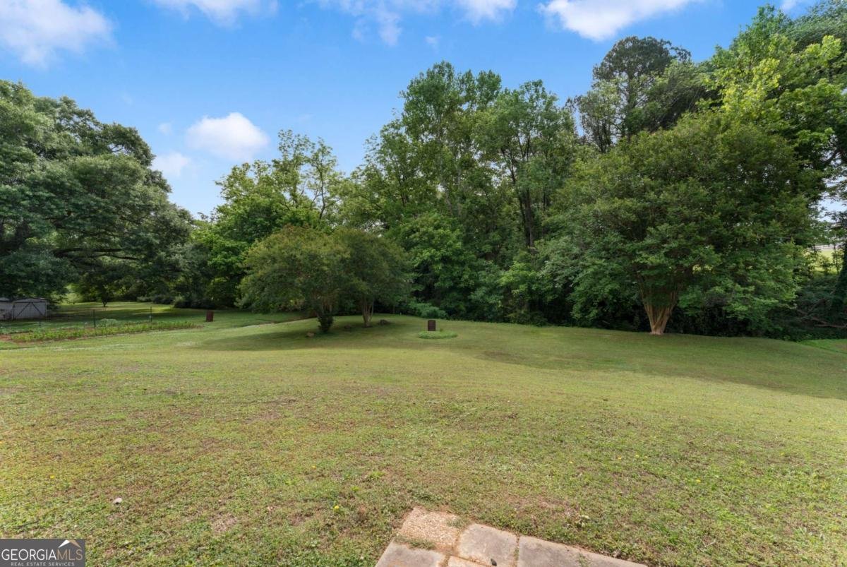 10 Shadow Lane Cartersville - Photo 48