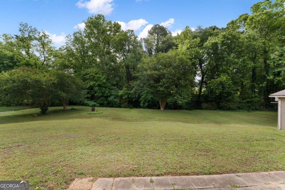 10 Shadow Lane Cartersville - Photo 49