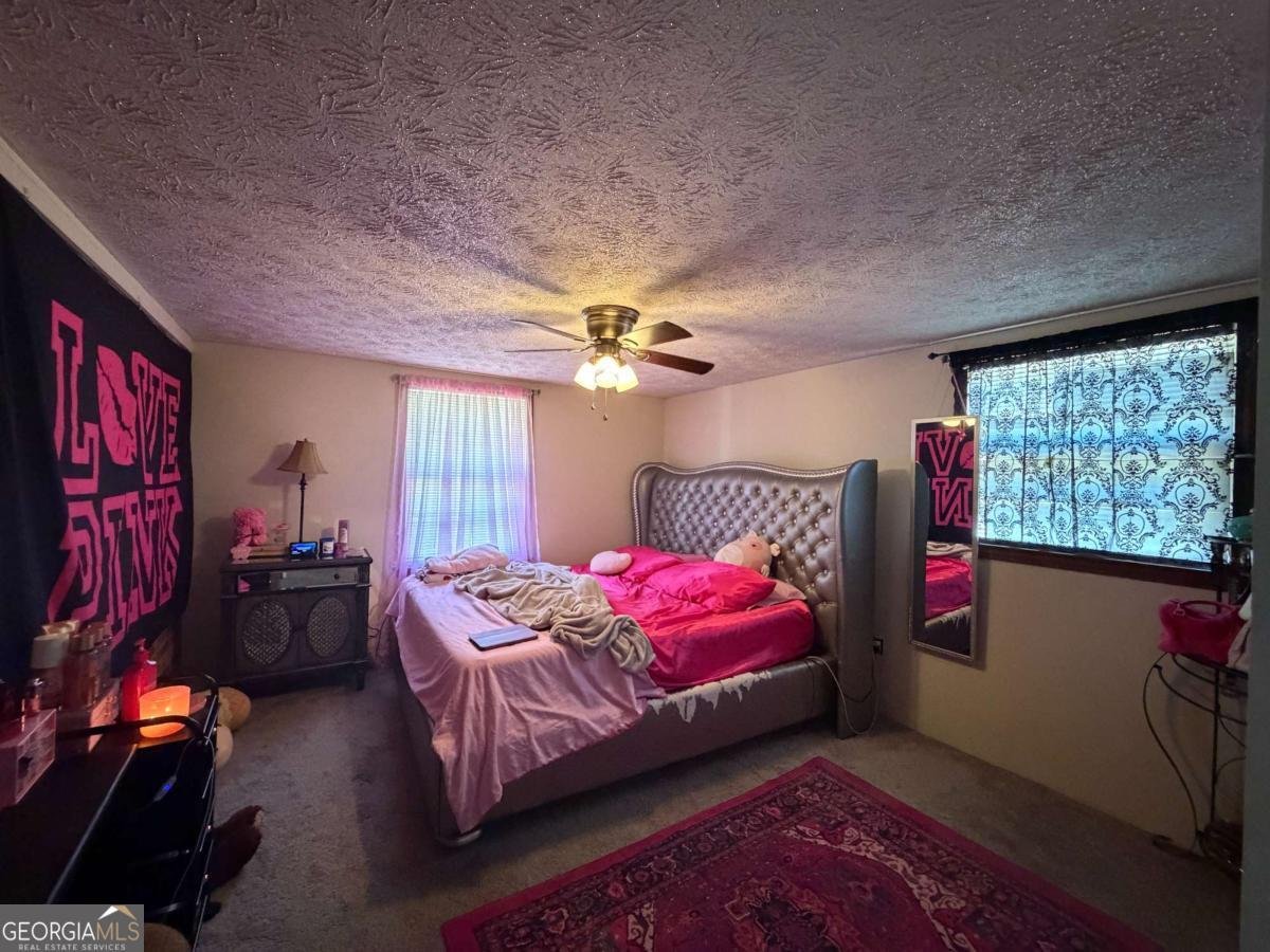 230 Cooper Road Athens - Photo 11
