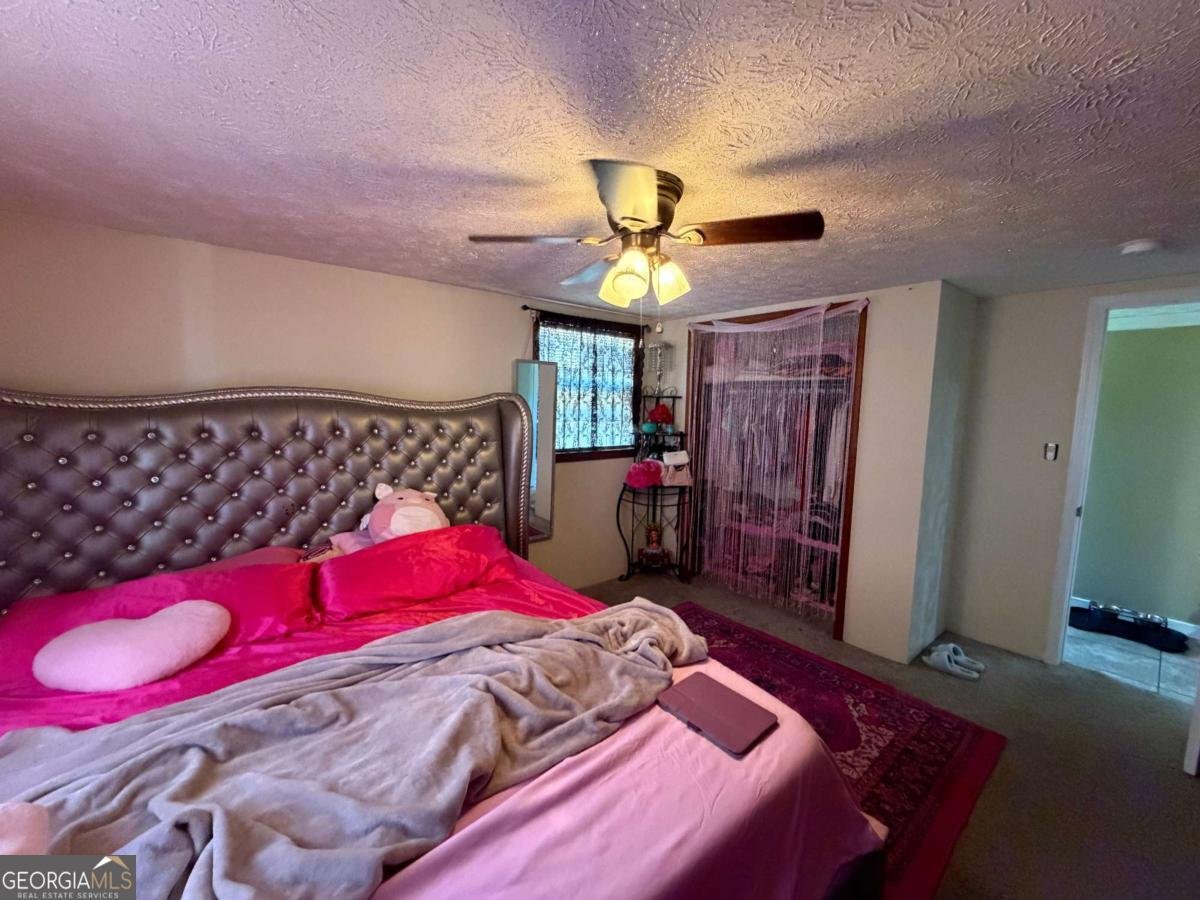 230 Cooper Road Athens - Photo 12