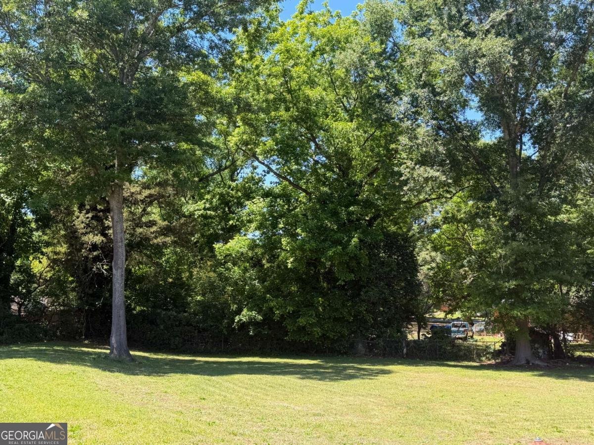 230 Cooper Road Athens - Photo 26