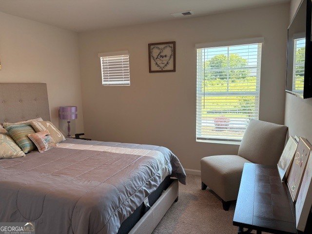 369 South Point Boulevard Mcdonough - Photo 26