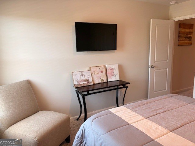 369 South Point Boulevard Mcdonough - Photo 27