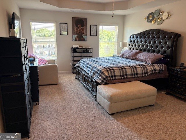 369 South Point Boulevard Mcdonough - Photo 30
