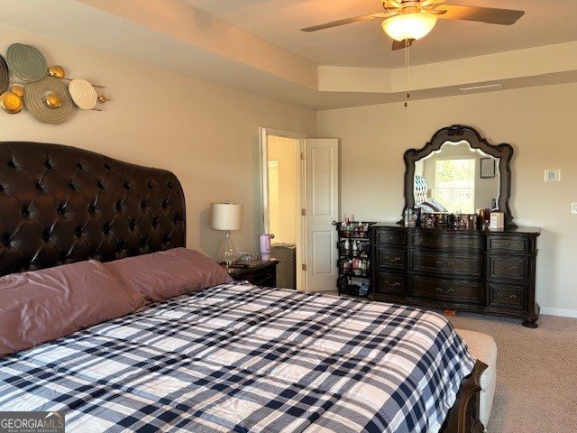 369 South Point Boulevard Mcdonough - Photo 32