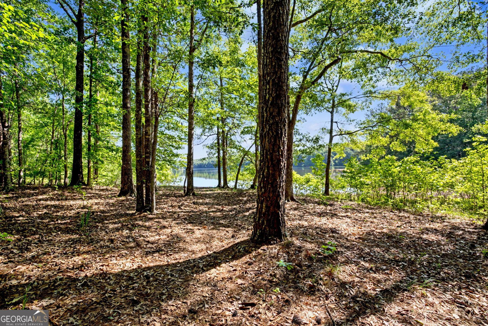 85 Enclave Lane Newnan - Photo 31