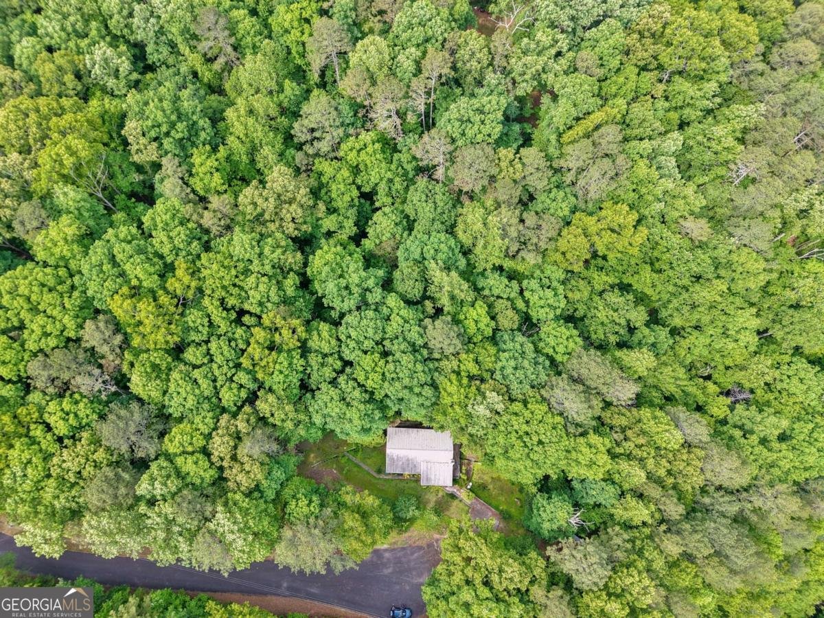 283 Ash Circle Waleska - Photo 33