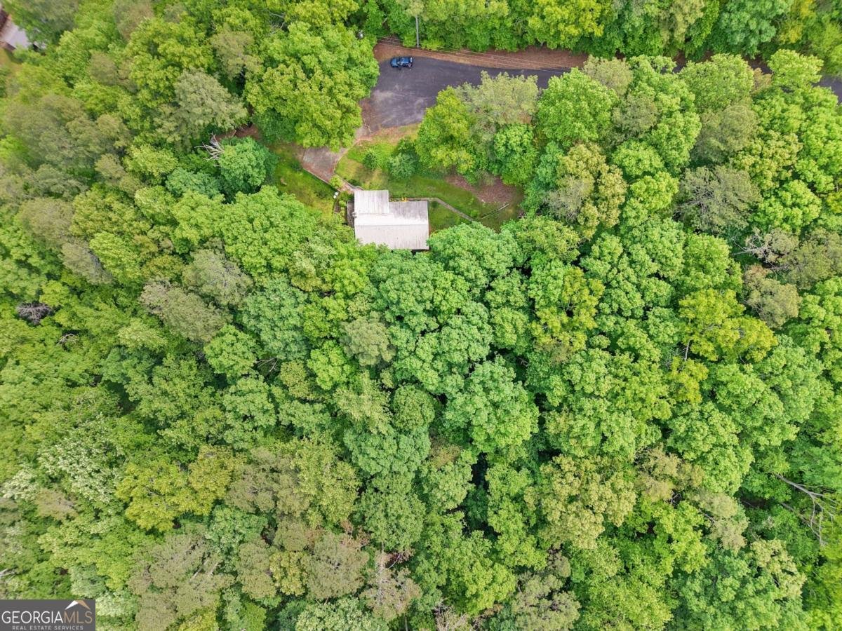 283 Ash Circle Waleska - Photo 34