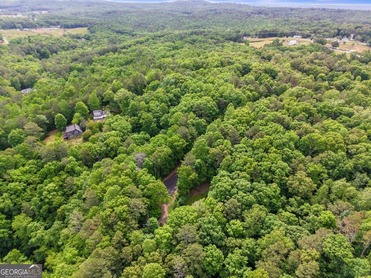 283 Ash Circle Waleska - Photo 35