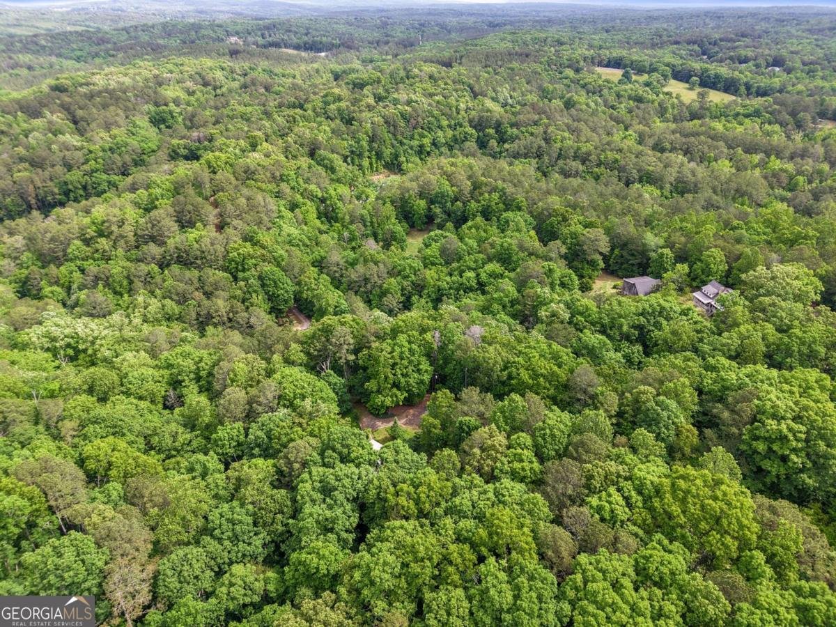 283 Ash Circle Waleska - Photo 36